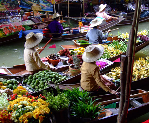 自动攻击网站工具下载